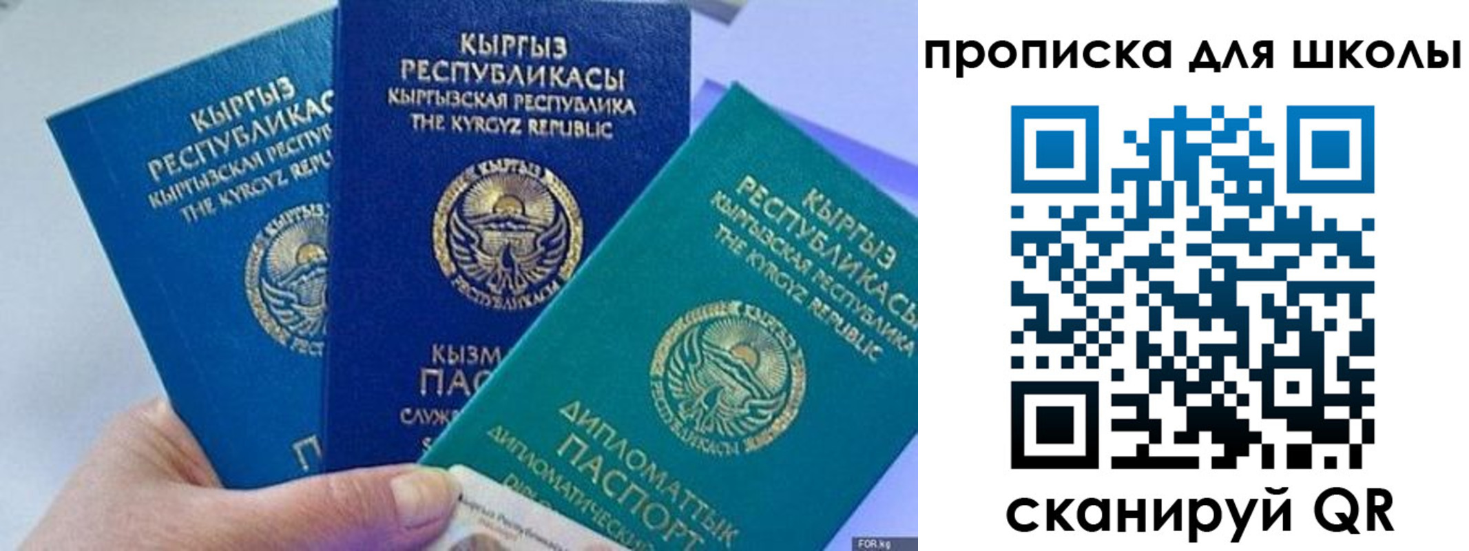 прописка регистрация в Мончегорске